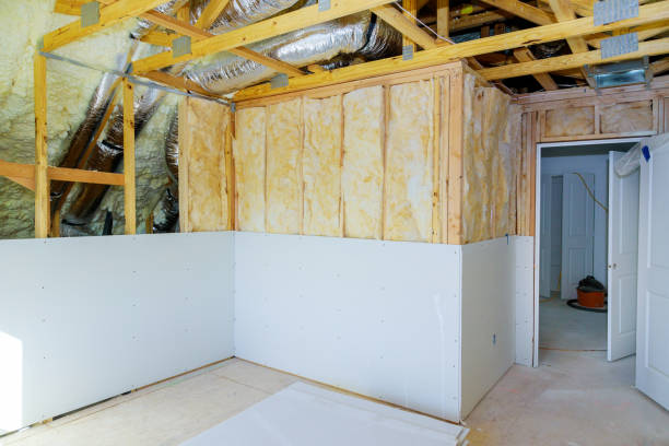 Best Residential Insulation in Carrollton, KY