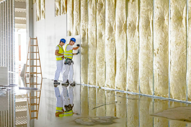 Best Fiberglass Insulation in Carrollton, KY